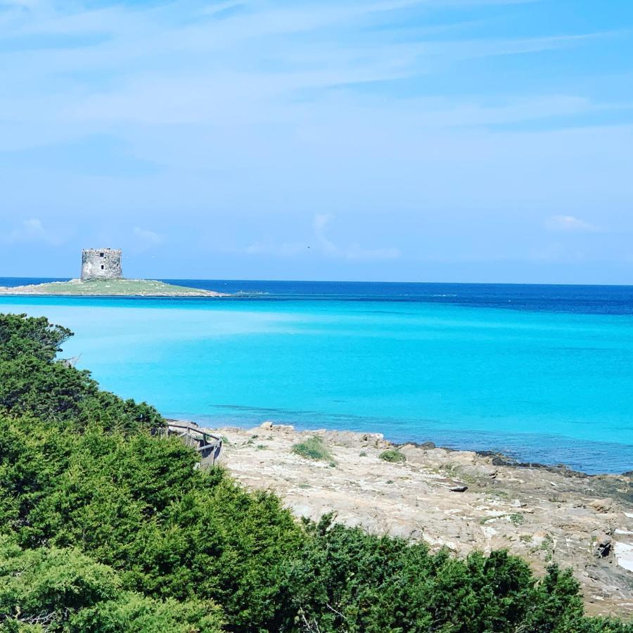 Appartamento Sole E Mare Стинтино Экстерьер фото